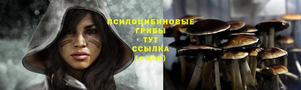 соль ск Балабаново