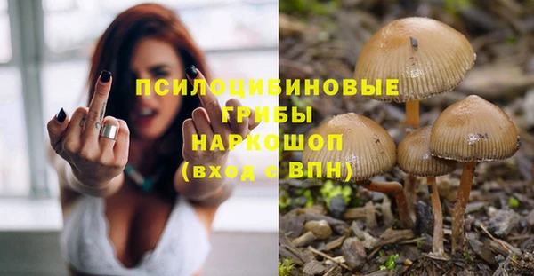 гидра Нефтекумск
