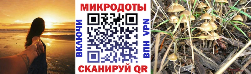 Псилоцибиновые грибы мухоморы  что такое наркотик  Нефтекумск 